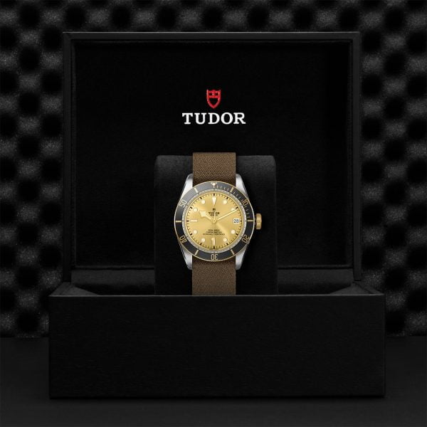 M79733N 0006 tudor watch carousel 4 4 10 2023 1