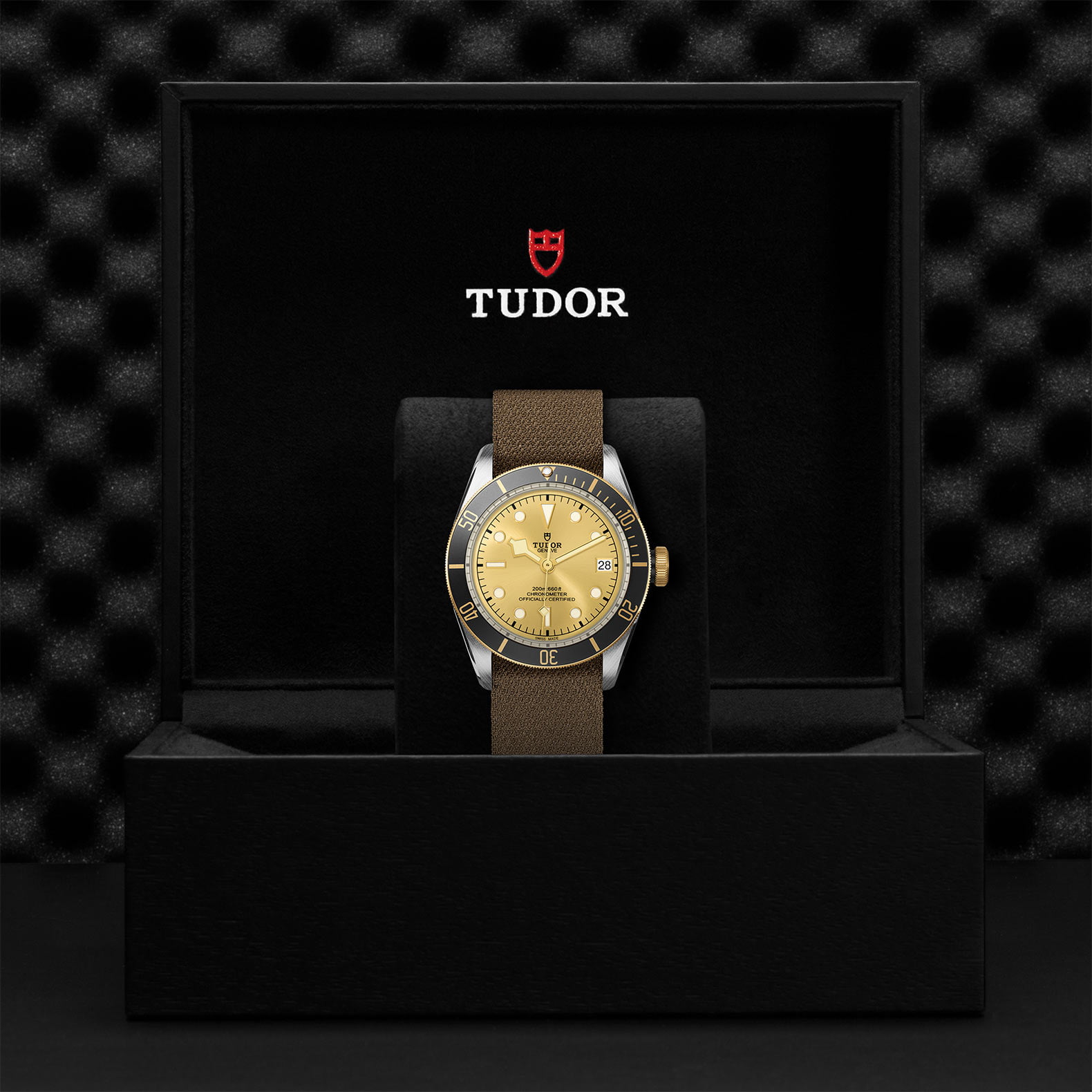 M79733N 0006 Tudor Watch Carousel 4 4 10 2023 1