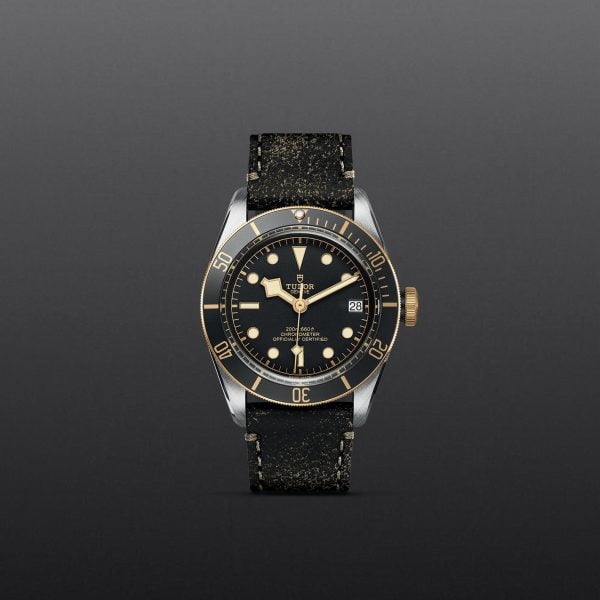 M79733N 0007 tudor watch carousel 1 4 10 2023 1