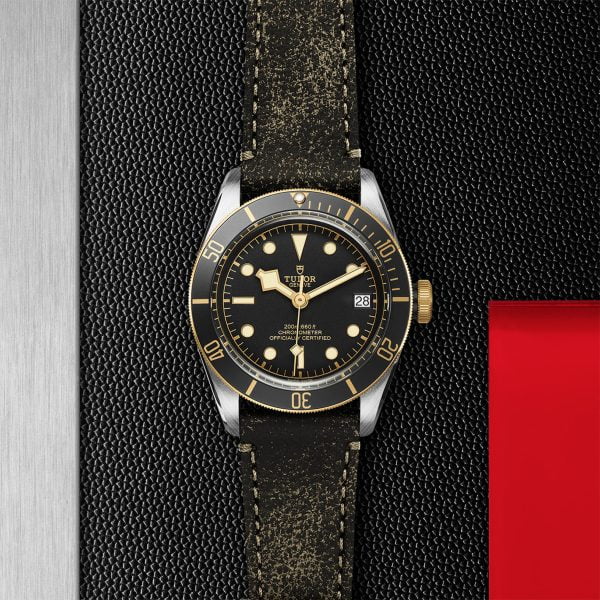 M79733N 0007 tudor watch carousel 2 4 10 2023 1