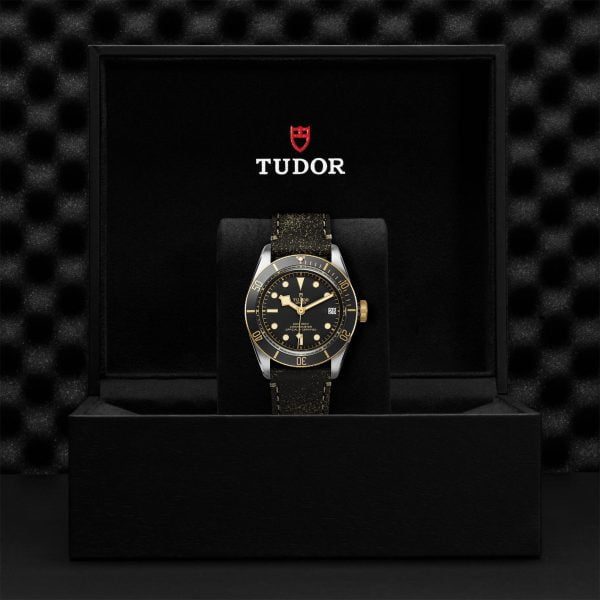 M79733N 0007 tudor watch carousel 4 4 10 2023 1