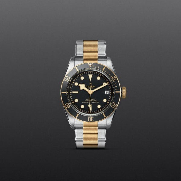 M79733N 0008 tudor watch carousel 1 4 10 2023 1