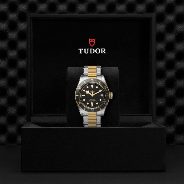 M79733N 0008 tudor watch carousel 4 4 10 2023 1