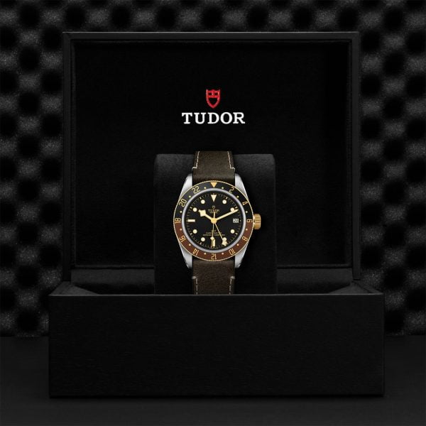 M79833MN 0003 tudor watch carousel 4 4 10 2023 1