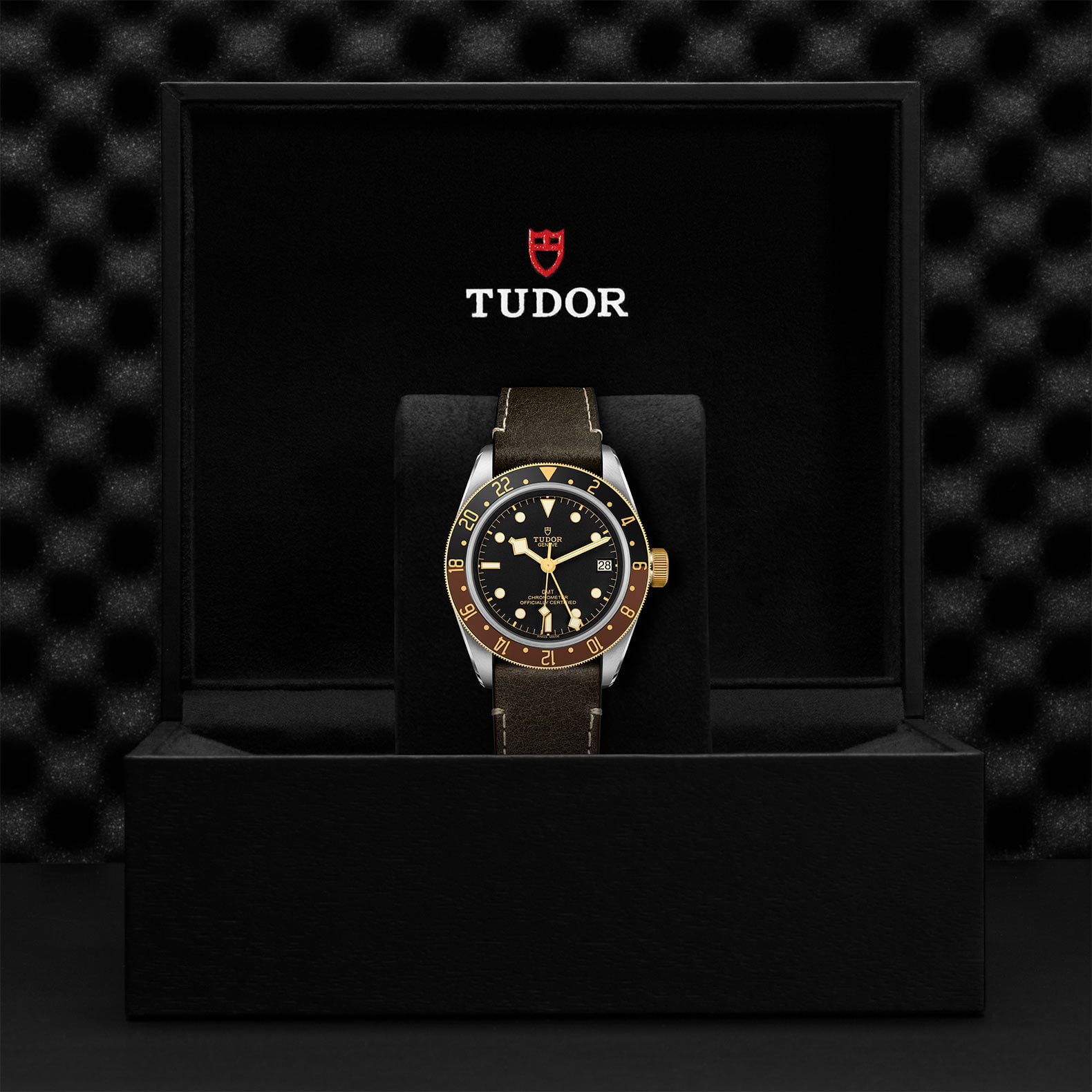 M79833Mn 0003 Tudor Watch Carousel 4 4 10 2023 1