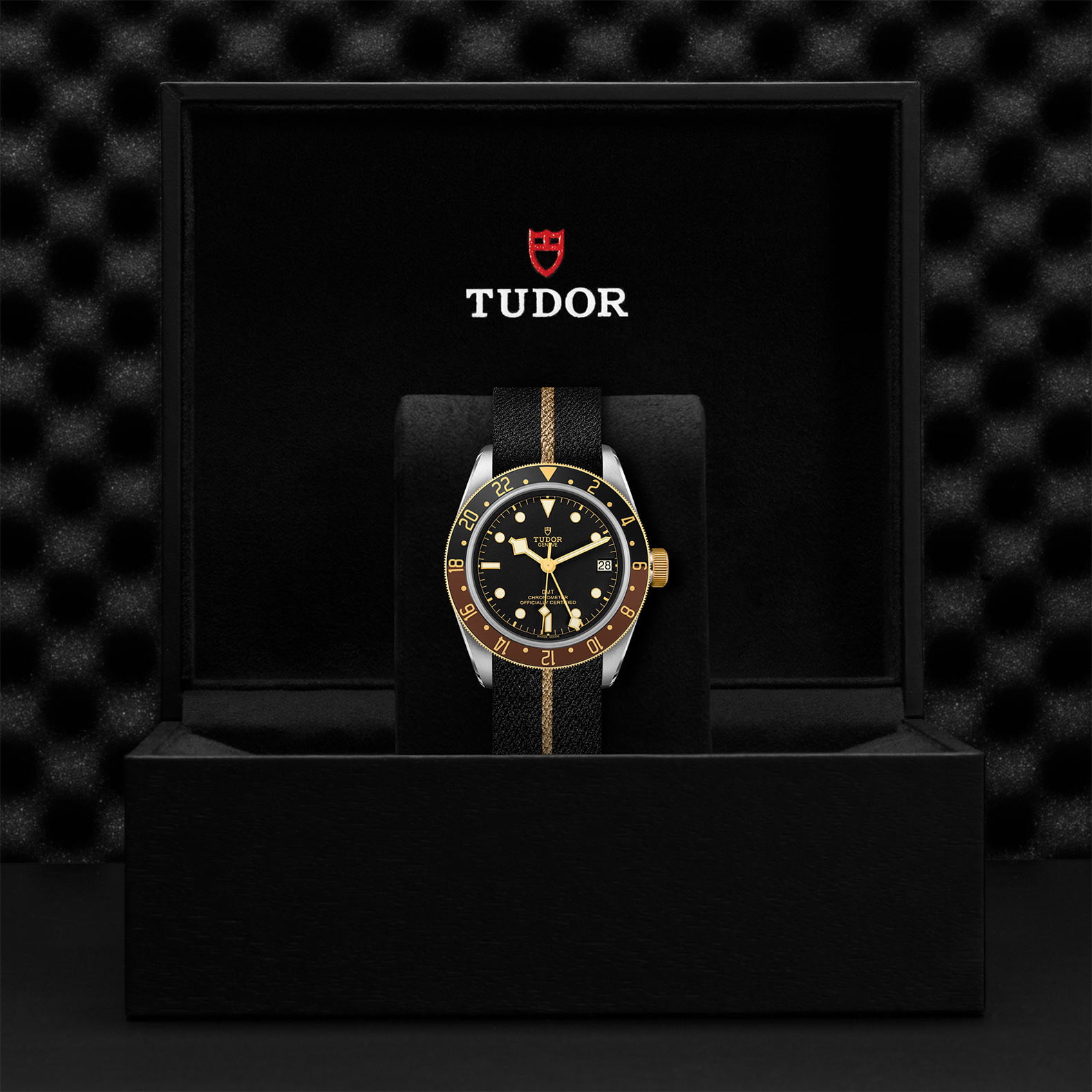 M79833Mn 0004 Tudor Watch Carousel 4 4 10 2023 1