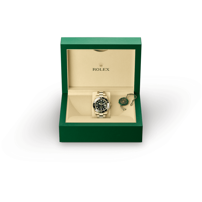 Rolex M126618LN-0002 Dihadirkan dengan Kotak - Hung Cheong Jewellery  Watch