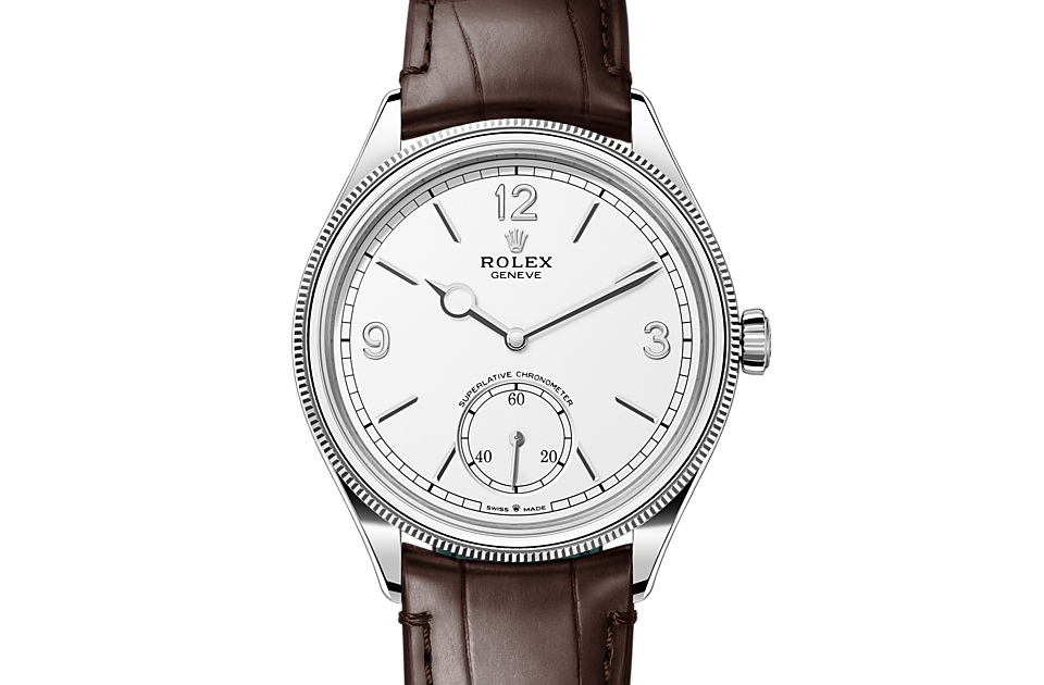 Rolex M52509-0006 Modelpage Front Facing