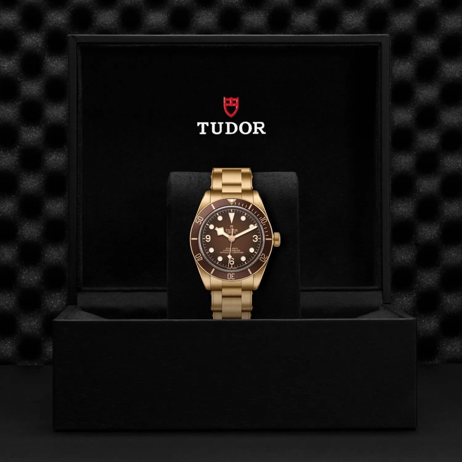 Tudor Black Bay 58 Bronze "Boutique Edition" M79012M-0001 - Image 3