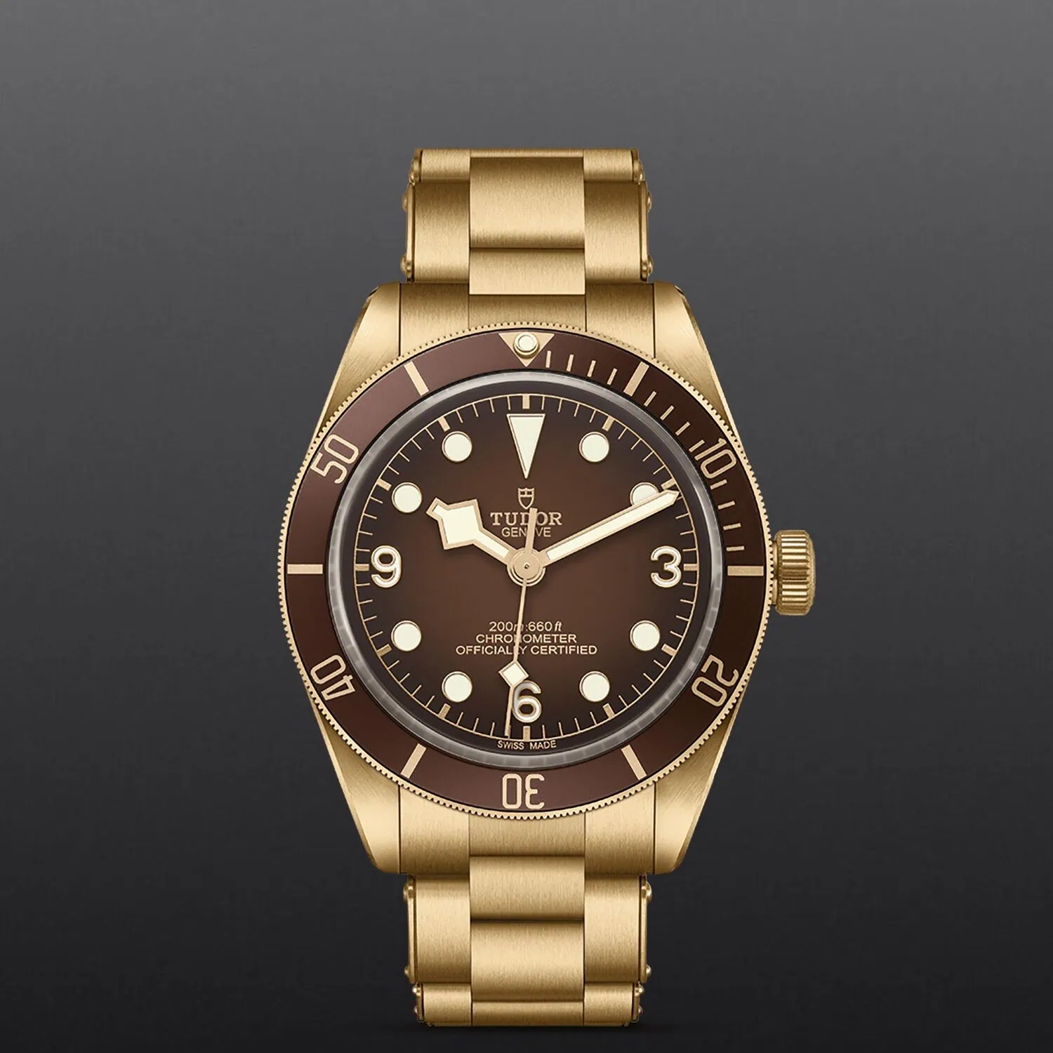 Tudor Black Bay 58 Bronze "Boutique Edition" M79012M-0001