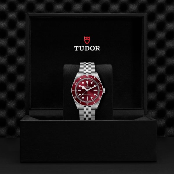Tudor Black Bay 58 M7939A1A0RU-0001 - Image 4