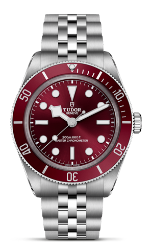 Tudor Black Bay 58 M7939A1A0RU-0001